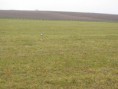 /album/fotogalerie/img-5746-jpg/